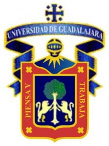 maestrias en la udg en linea